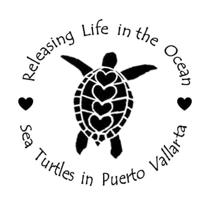 sea turtles