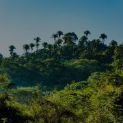 Hidden Beaches, Coconut & Local Culture!