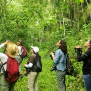 Bird Watching & Nature Discovery