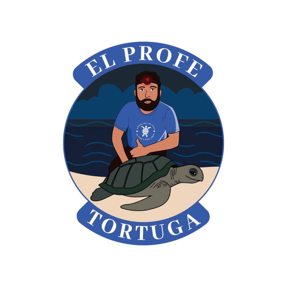 Diseño sin título (2)